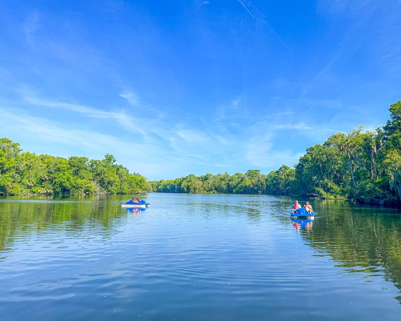 30-Minute Pedal Boat Rental at De Leon Springs State Park