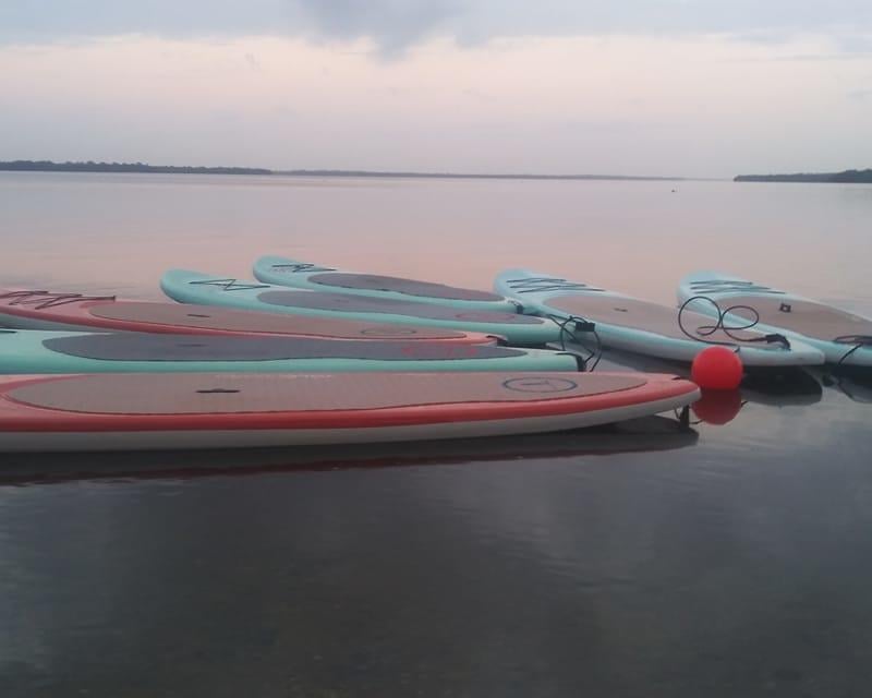 Multi-Day Paddle Board Rental with Delivery in Cape Coral