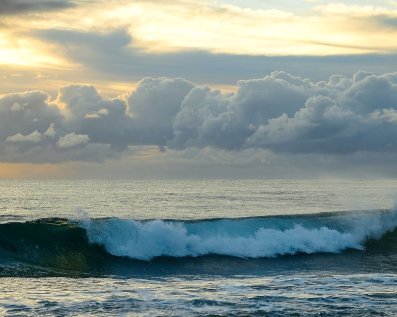 Private Dawn Wakesurf & Foil Charter in Incline Village