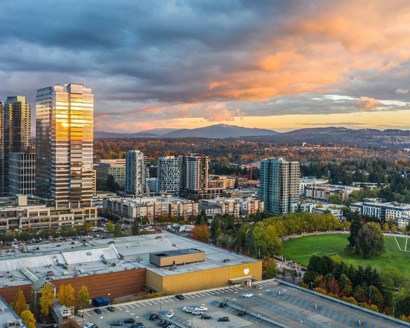 Art History Walking Tour in Bellevue