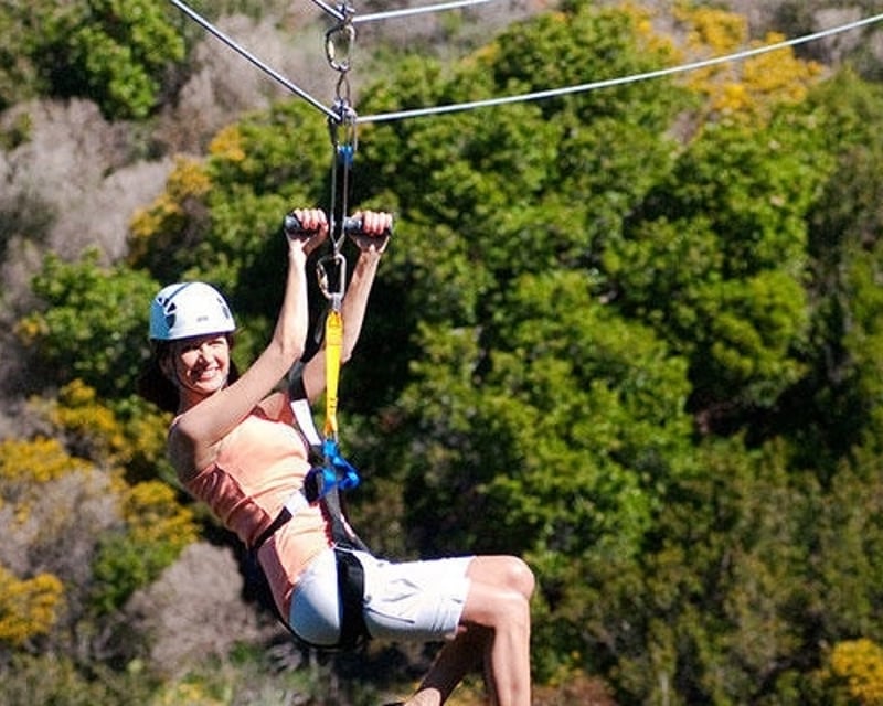 Catalina Island Zipline Day Trip With Hotel Pickup