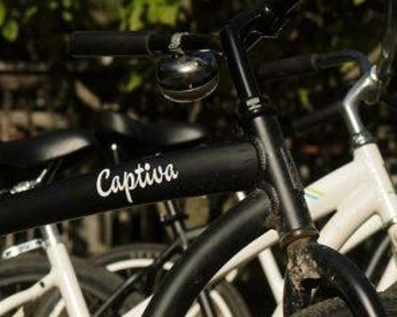 Beach Cruiser Bicycle Rental at Fletchers