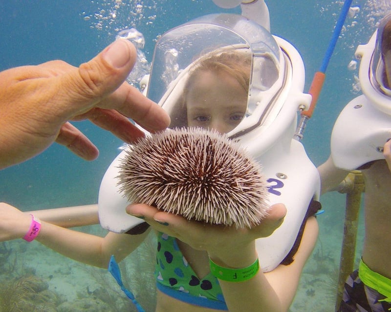 Guided Underwater Walk in St. Thomas