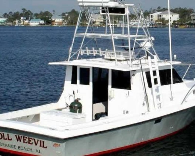 Private Fishing Charter in Orange Beach
