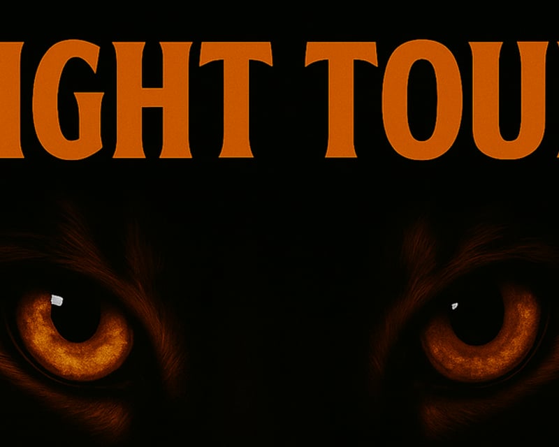 Mountain Home Night Wildlife Tour