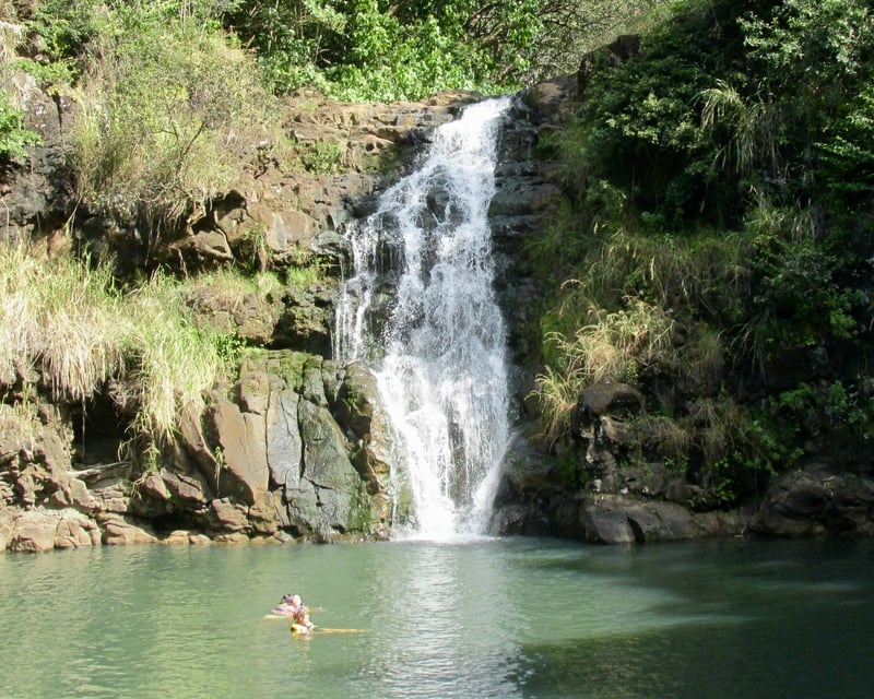 Oahu Circle Island Tour with Waimea Falls & Byodo-In