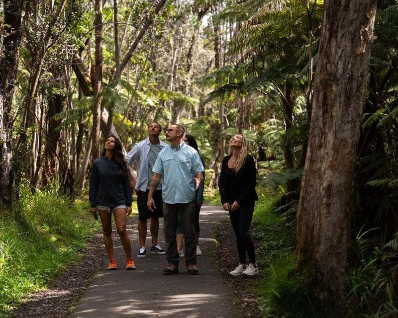 Hawaii Island Waterfall Tour with Lunch & Guide