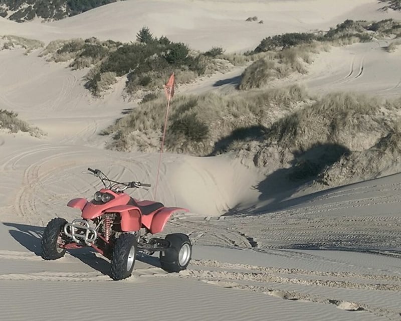 8-Hour ATV & UTV Rental in Winchester Bay