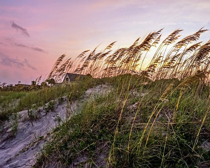 2-Day Bike Rental in Hilton Head Island