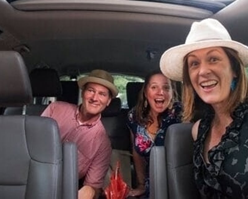 3-Hour New Orleans Citywide Driving Tour