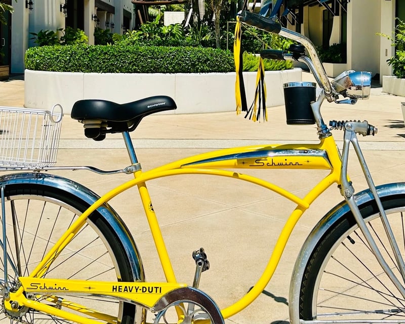 Vintage Schwinn Cruiser Bike Rental in Delray Beach