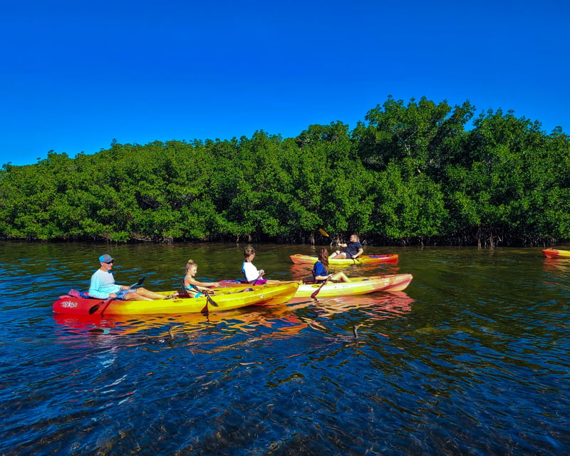 Midnight Pass Kayak & Paddleboard Rental on Siesta Key