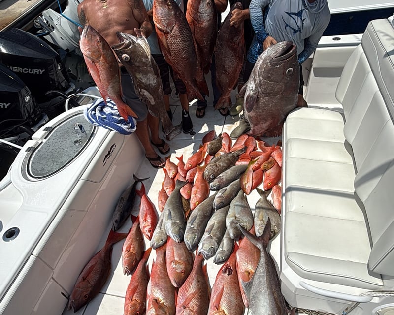 Deep Drop Fishing Charter to Pulley Ridge