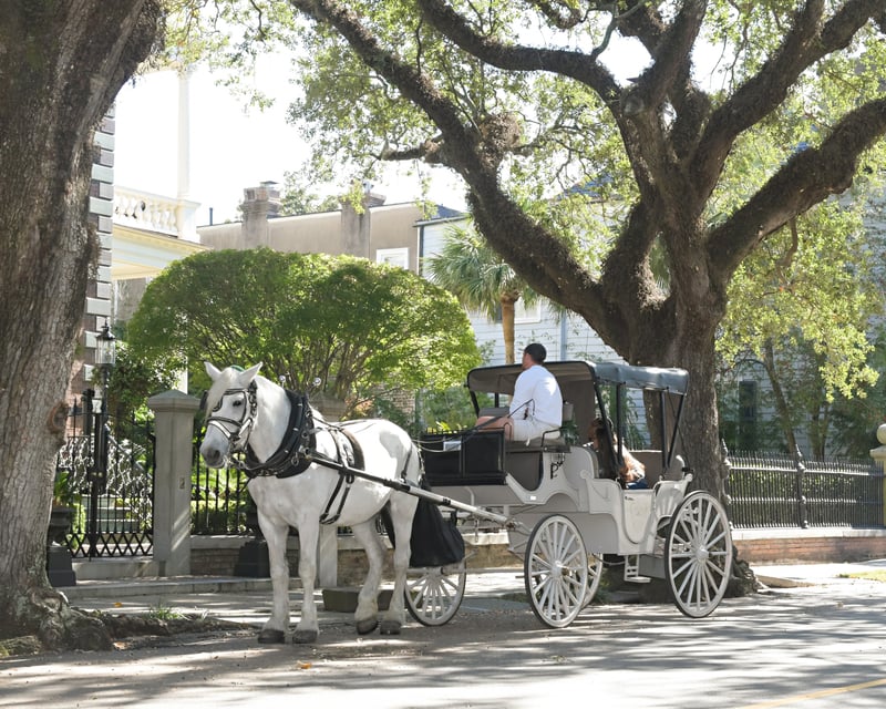 Private Carriage Tour of Historic Downtown Charleston