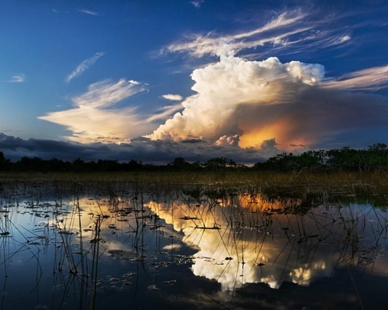 Private Nighttime Airboat Tour in the Everglades