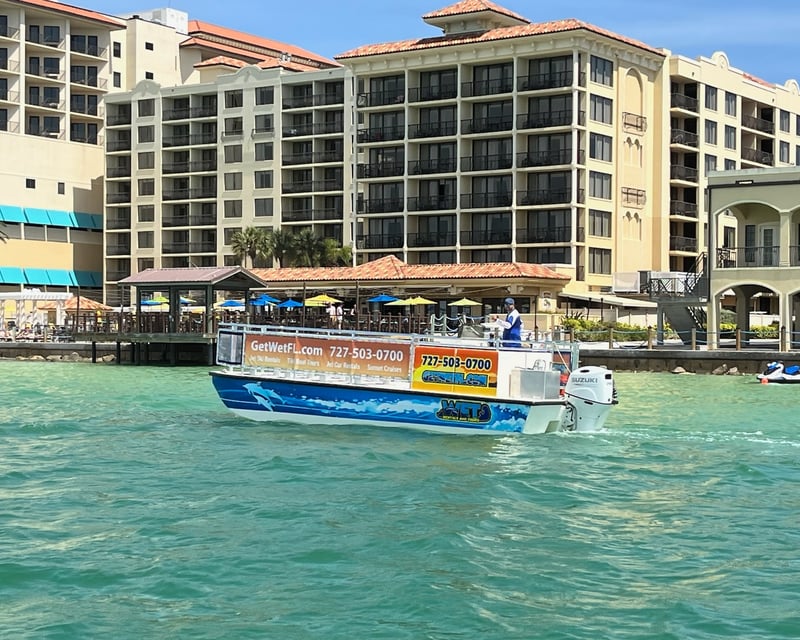 90-Minute Dolphin & Sightseeing Cruise In Clearwater