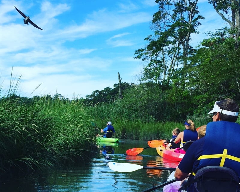 2-Hour Scorton Creek Guided Kayak Nature Tour