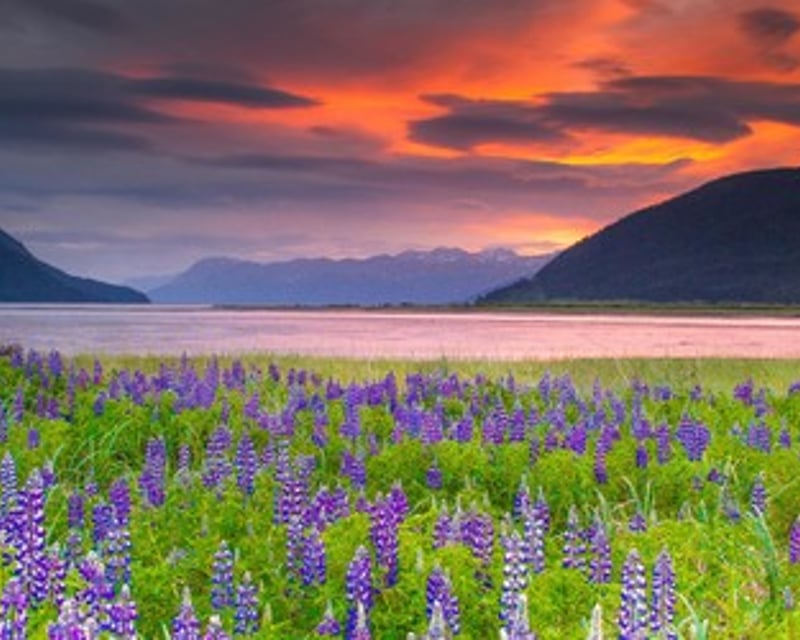 Anchorage Wildlife Conservation Center Guided Tour