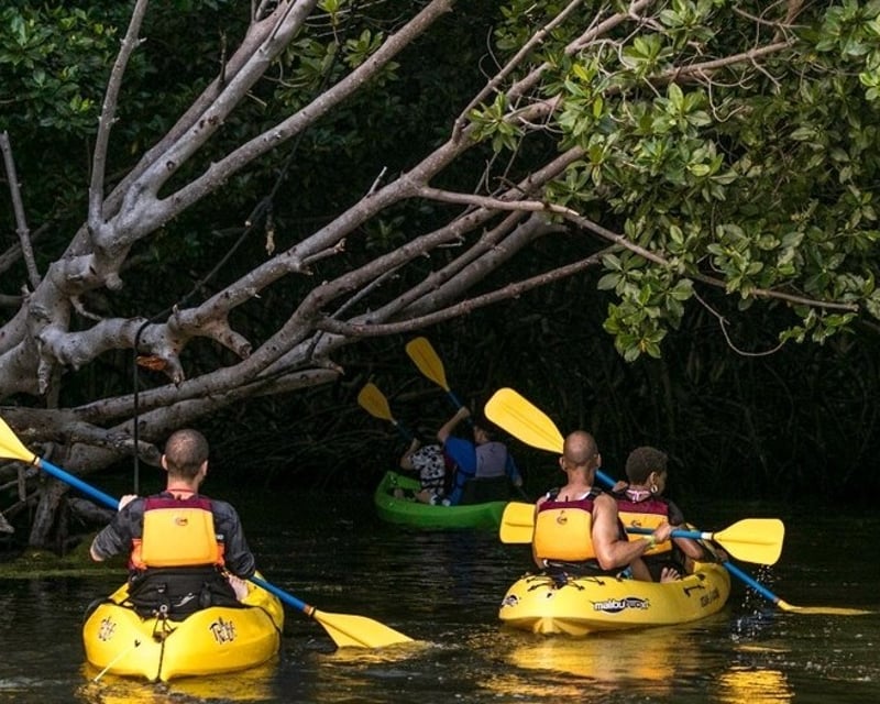 Bioluminescent Kayak Tour in Laguna Grande