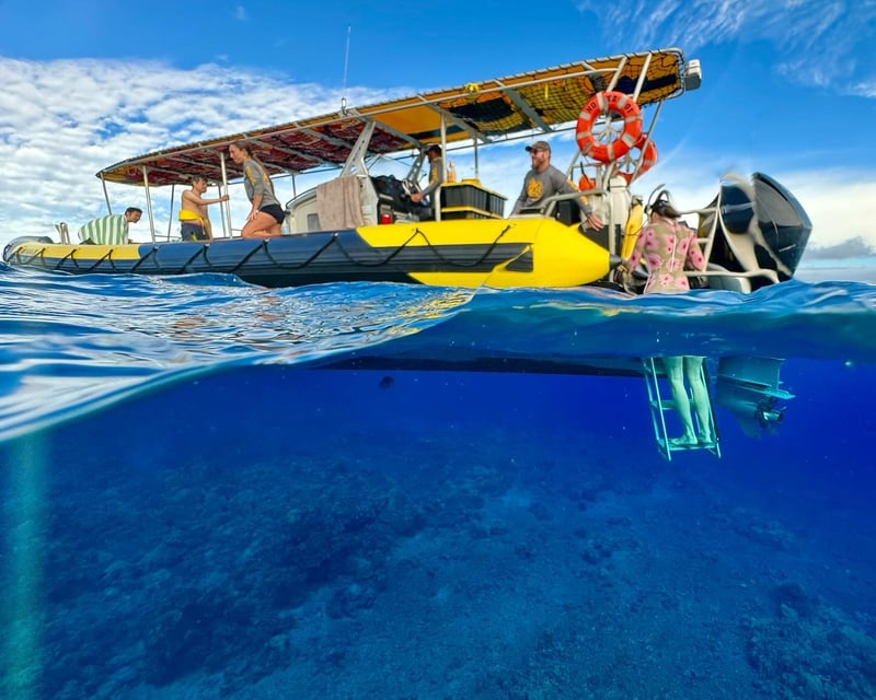 Sunrise Molokini & Turtle Town Snorkel Tour