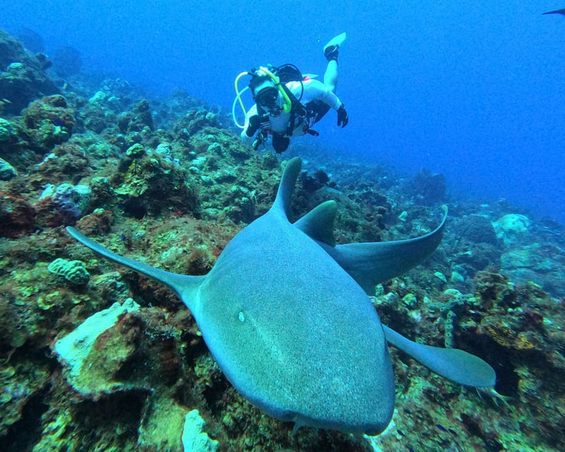 Desecheo Island 2-Tank Scuba Dive