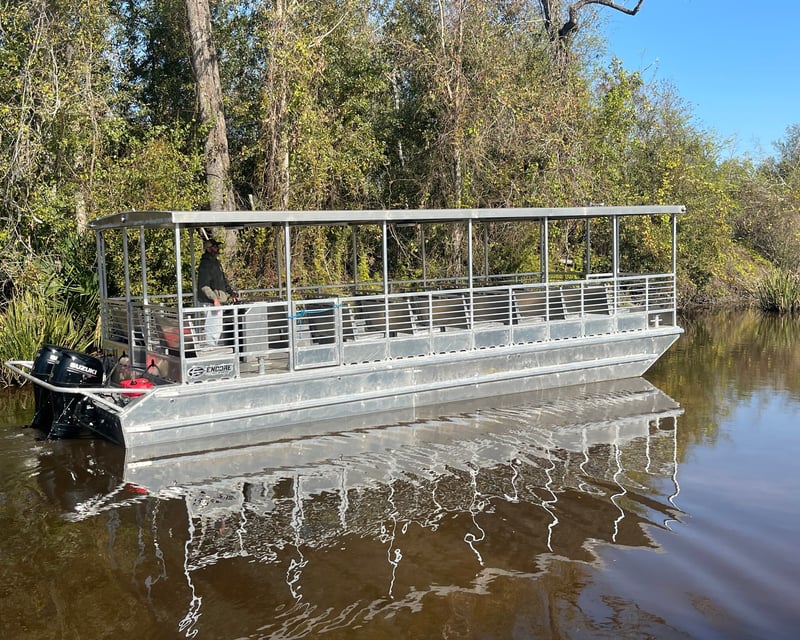 Louisiana Swamp Tour by Covered Boat
