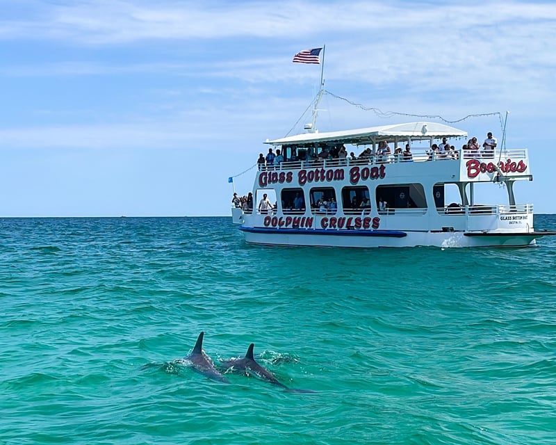 Daytime Dolphin Cruise in Destin