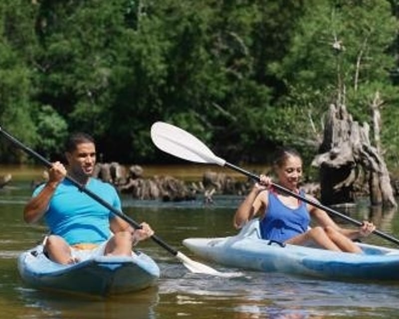 7-Mile Coldwater Creek Canoe & Kayak Trip in Milton