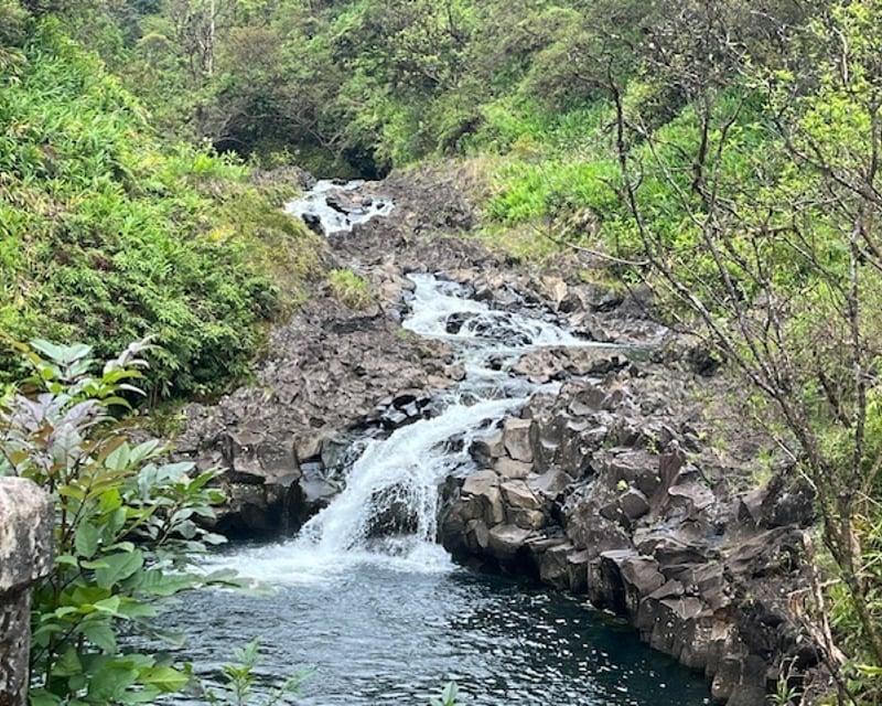 Regenerative Maui Guided Tour