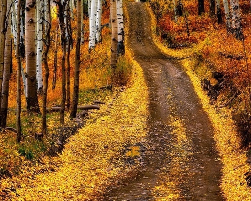 Explore Last Dollar Road in Telluride