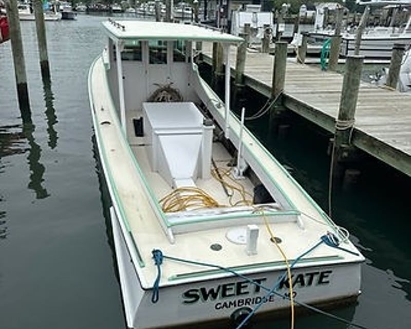 Private Historic Harbor Cruise in St. Michaels