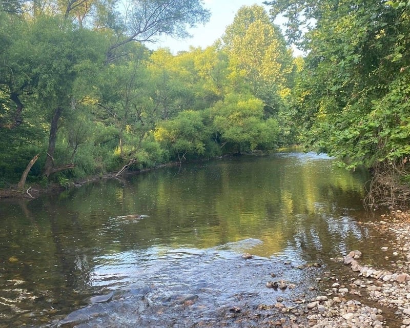 Horseback Ride Across the Jackson River in Warm Springs