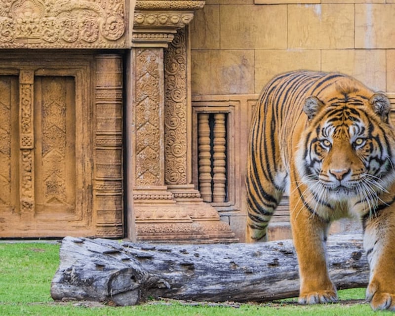 Zoo Miami Admission Ticket to Florida's Largest Zoo