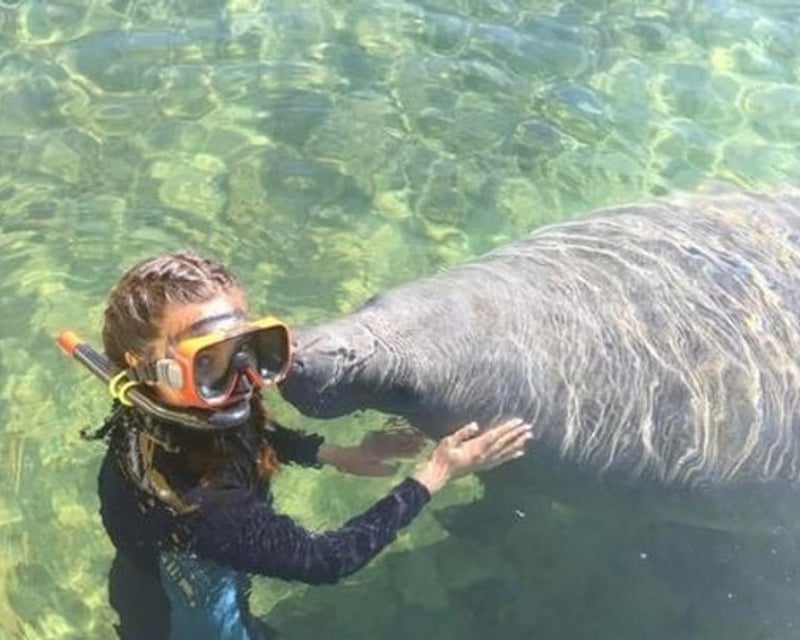 Swim With Manatees Private Tour In Homosassa