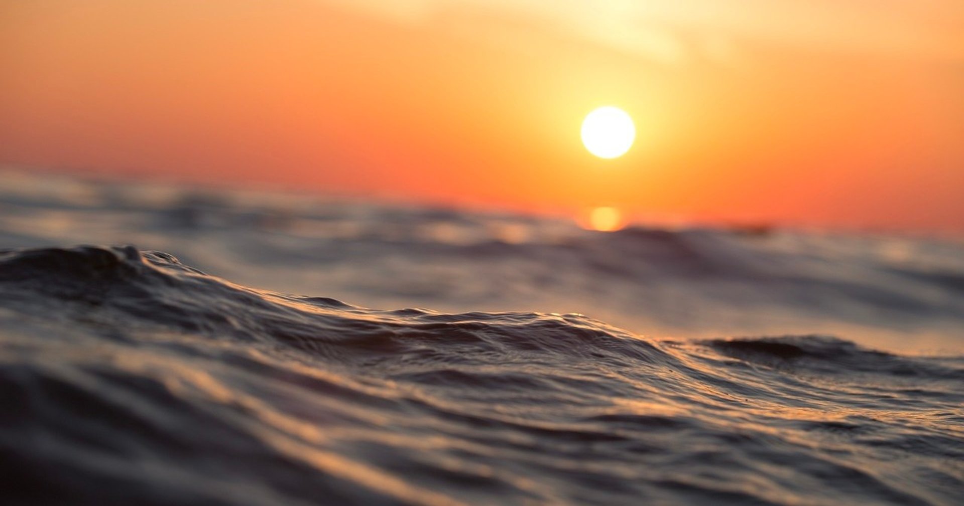 Nantucket Sunset Harbor Cruise | Greetwell