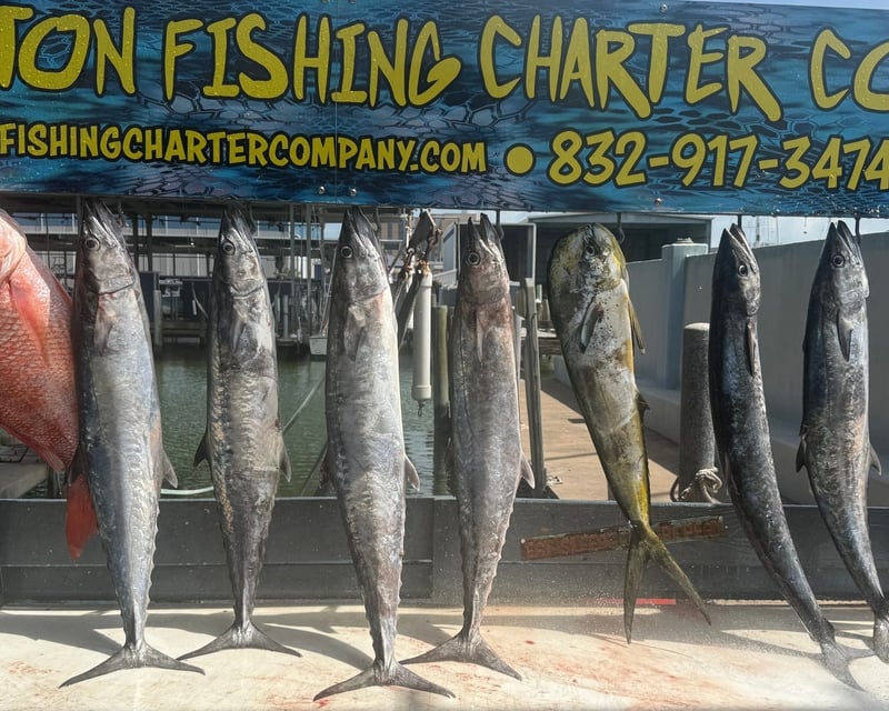 7-Hour Fishing Charter in Galveston