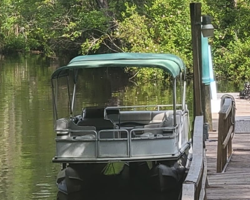 Nature & Wildlife Boat Tour in Myrtle Beach