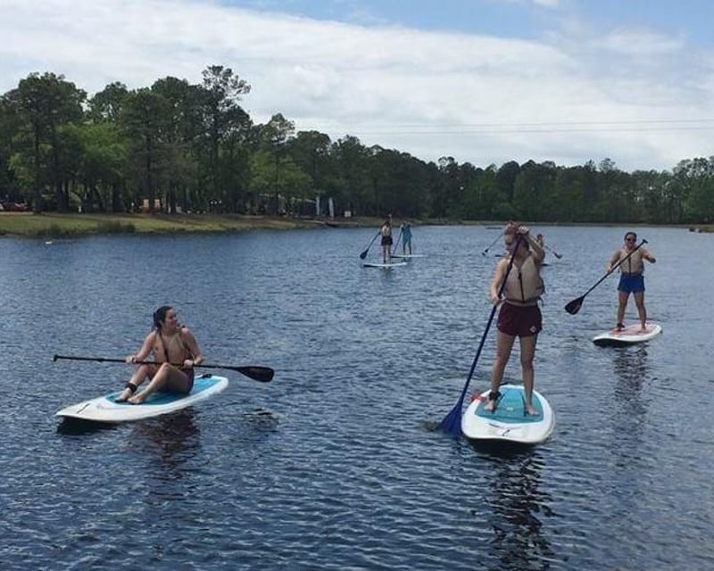 Folly Beach Dolphin Paddleboard Tour