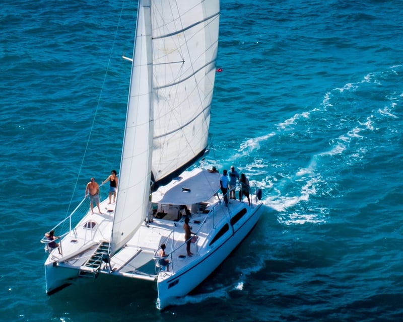Key West Champagne Dolphin Sail & Reef Snorkel