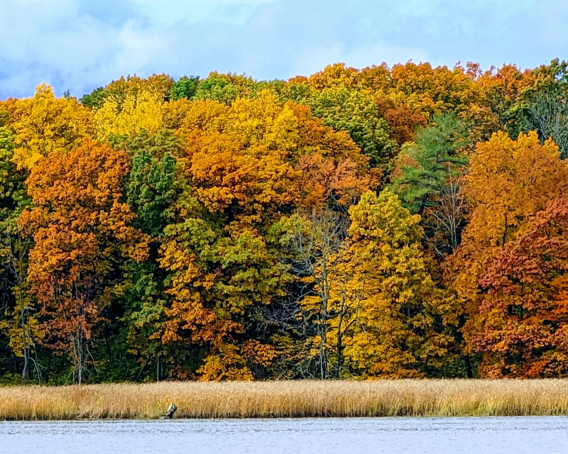 Vintage Boat Fall Foliage Cruise on the Hudson in Kingston