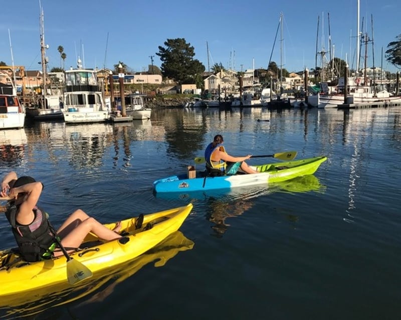 Santa Cruz Harbor 1.5-Hour Kayak Rental