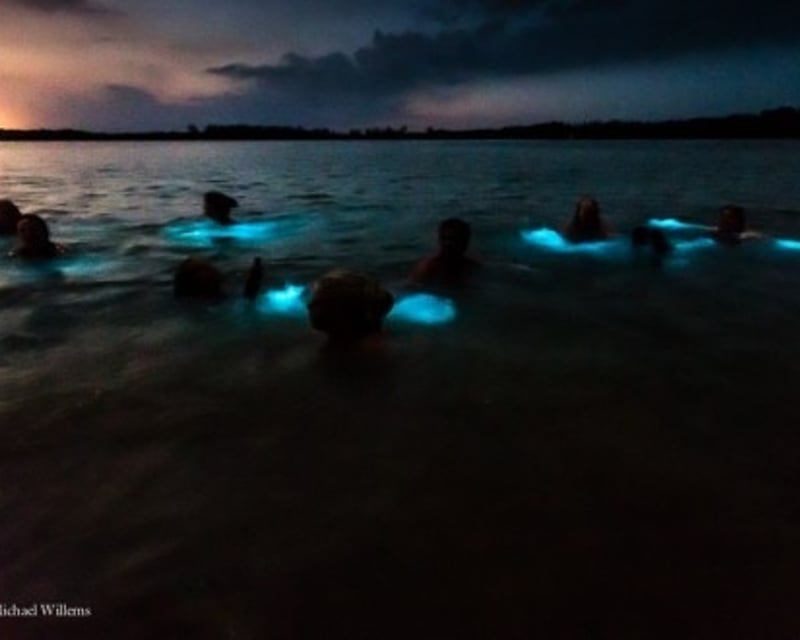 Montego Bay Rose Hall & Luminous Lagoon Night Tour