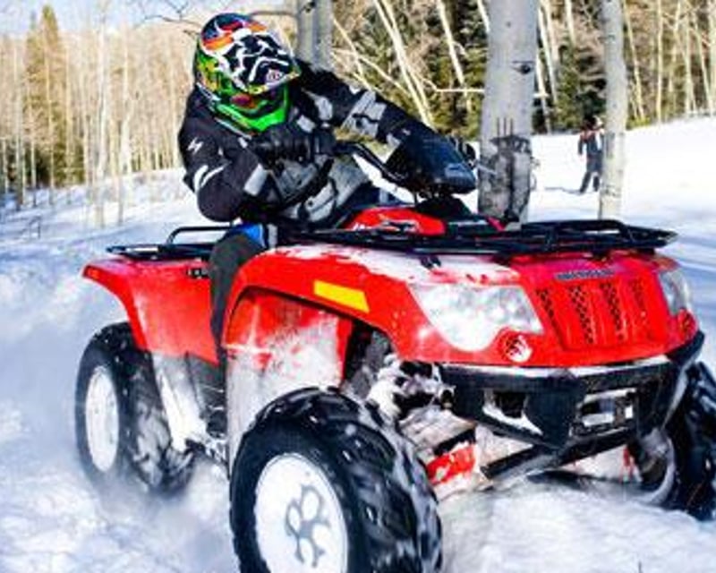 Guided 200-Acre Wooded ATV Trail Ride in Mount Pocono