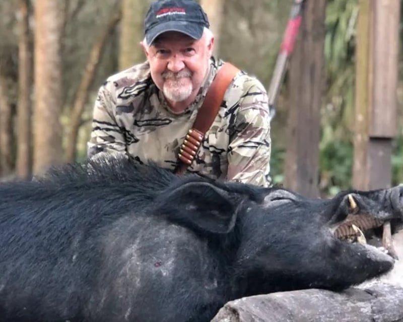 Full-Day Wild Hog Hunt in Florida