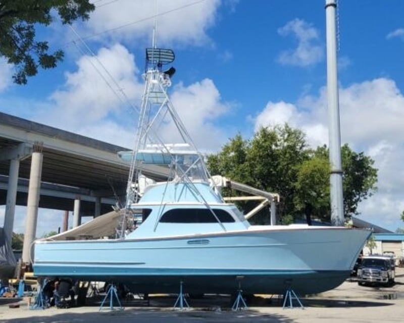 8-Hour Deep Sea Fishing Charter In The Keys