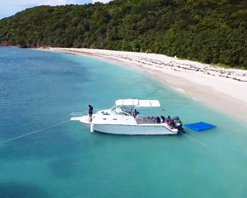 Private Full-Day Icacos & Palomino Snorkel Tour from Fajardo