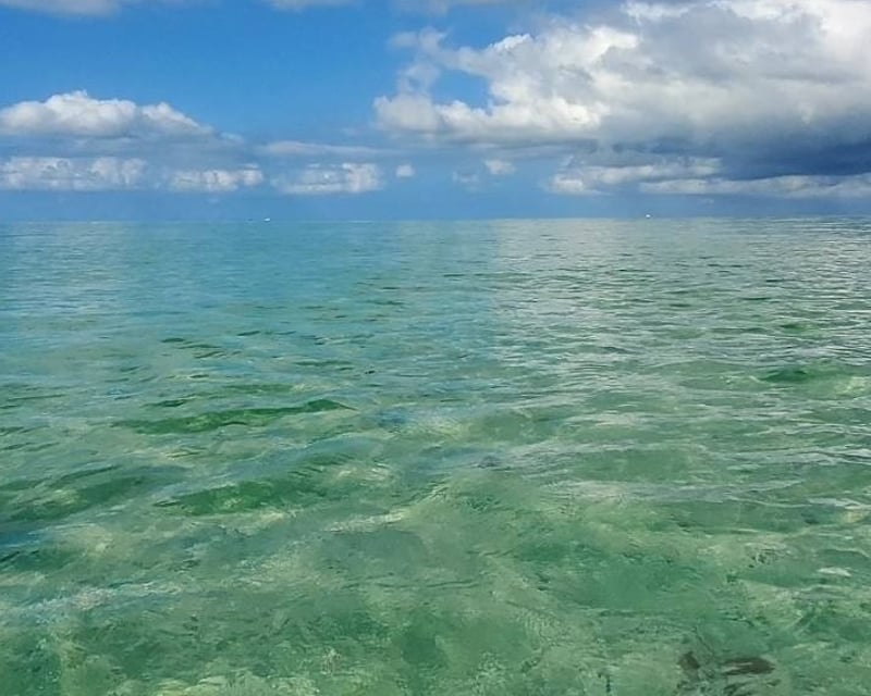 6-Hour Private Backwater Charter From Naples