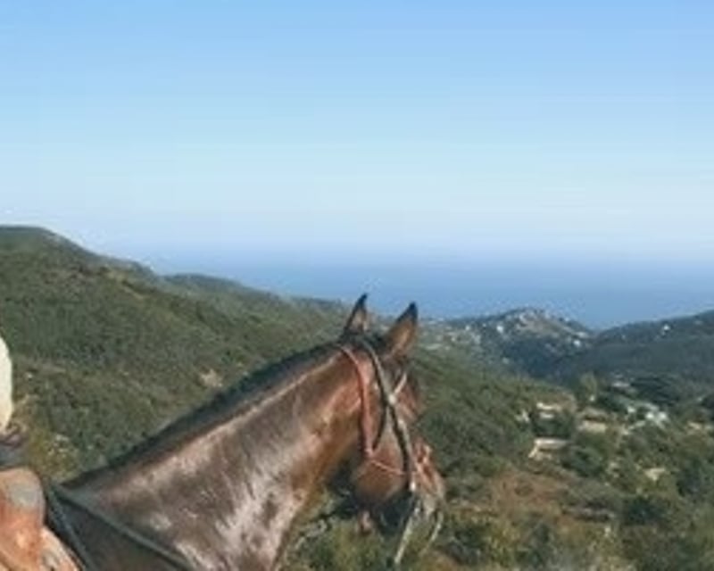 Latigo Canyon Horseback Ride with Ocean Views in Malibu