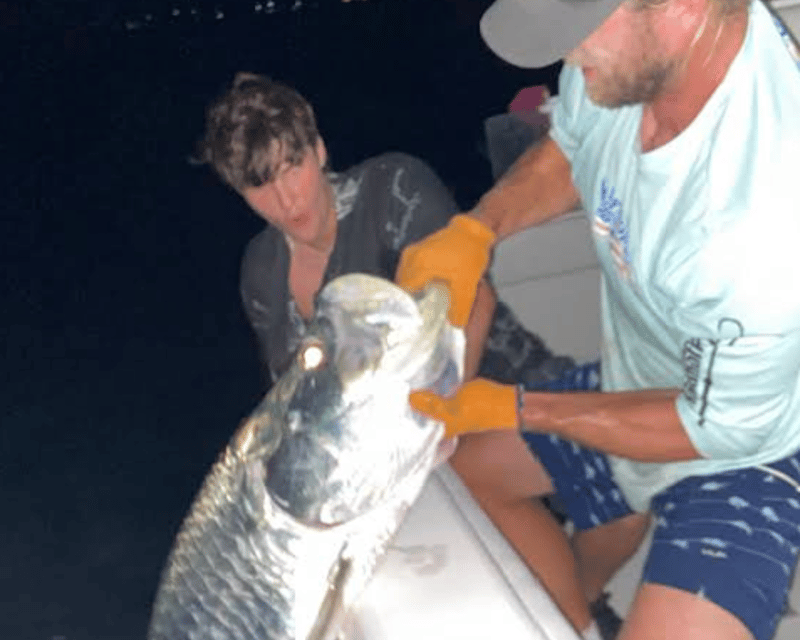 Key West Night Fishing Charter