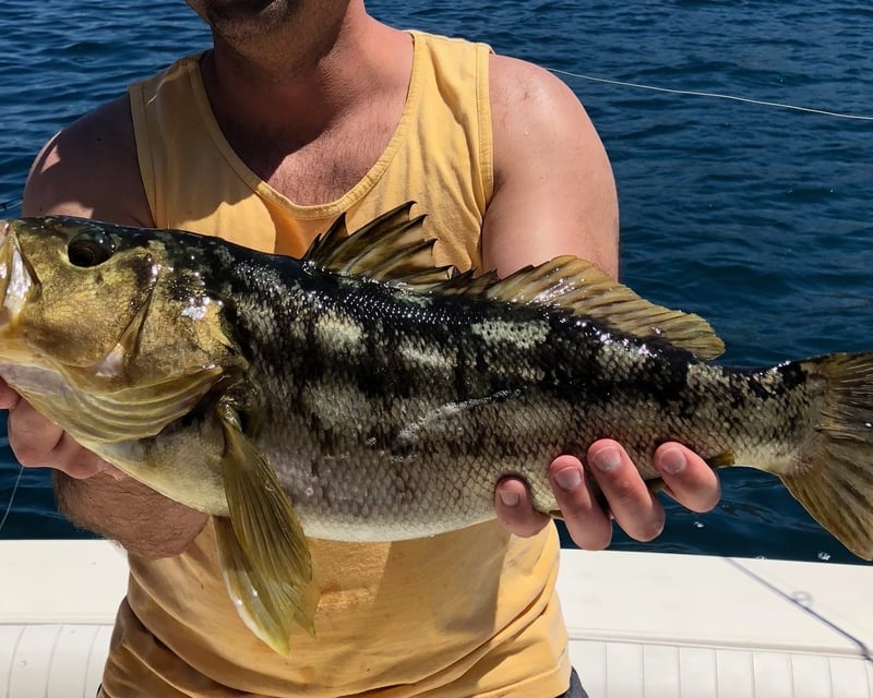 Private 3/4-Day Fishing Charter in Dana Point